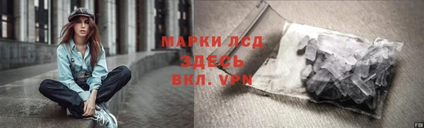 ПСИЛОЦИБИНОВЫЕ ГРИБЫ Лабытнанги