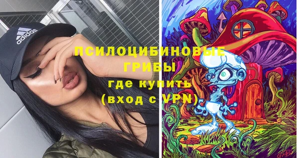 mdpv Краснотурьинск